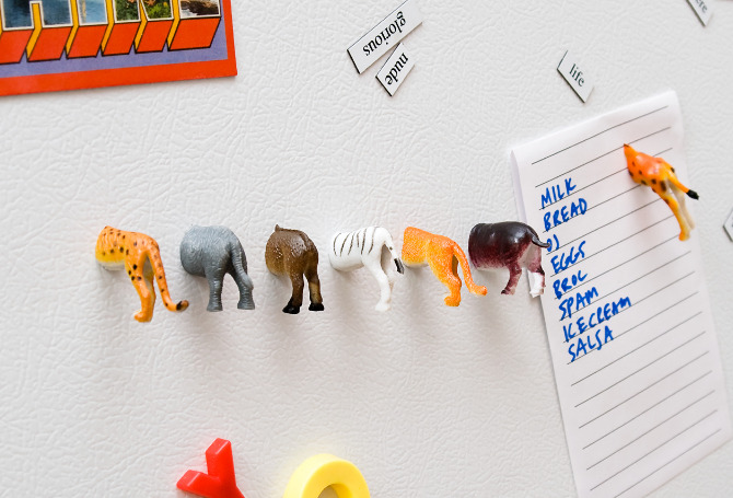 Magneet dieren
