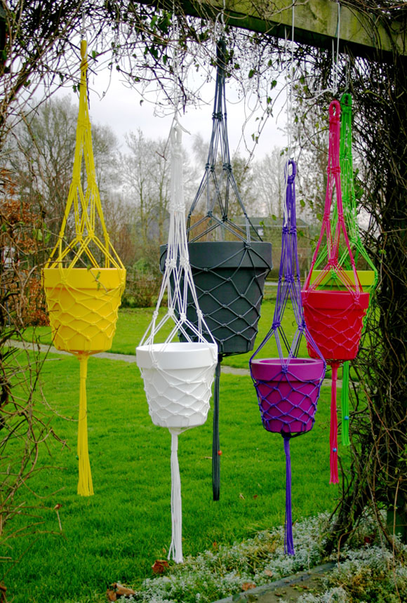Bloemen en planten in huis