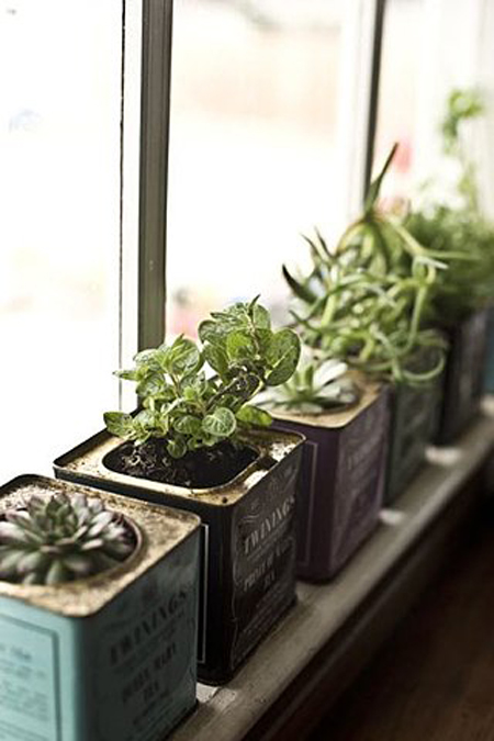Woonkeuken plantenbak origineel