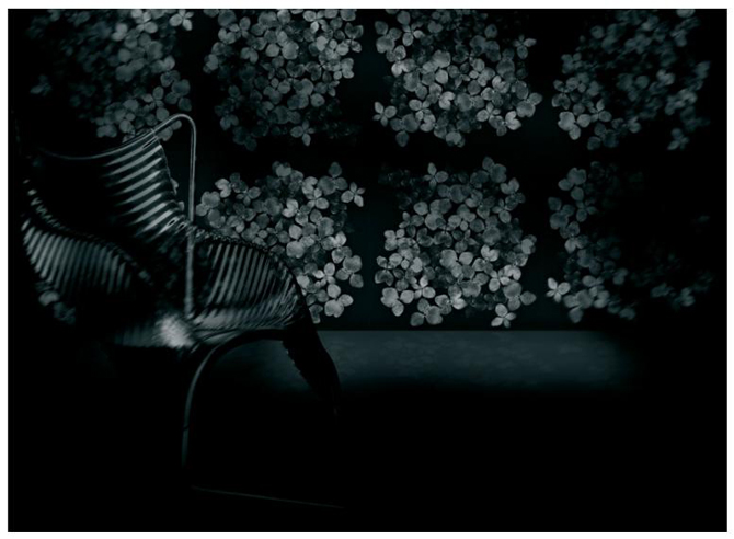 Black Flowers