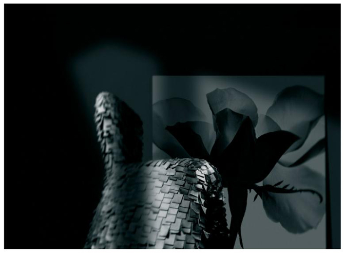 Black Flowers