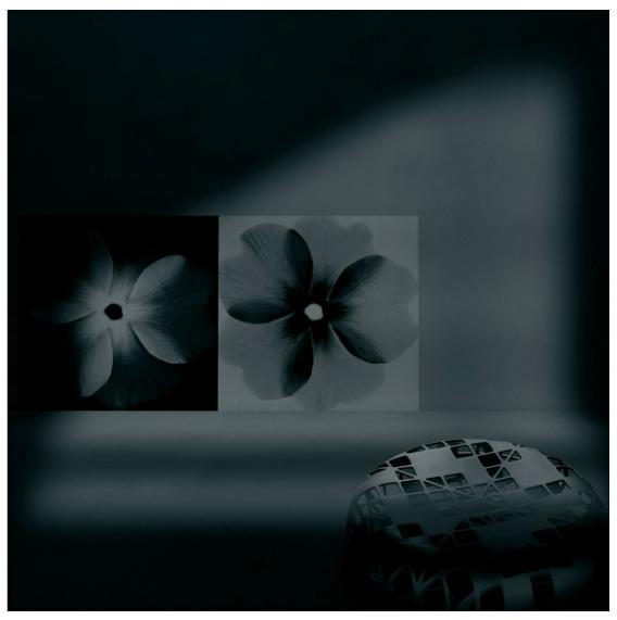 Black Flowers