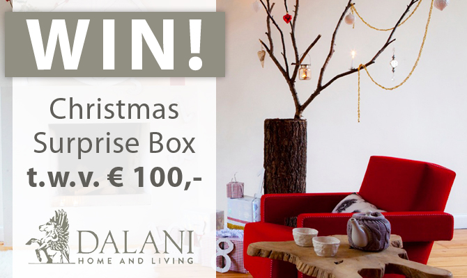 Christmas Surprise Box