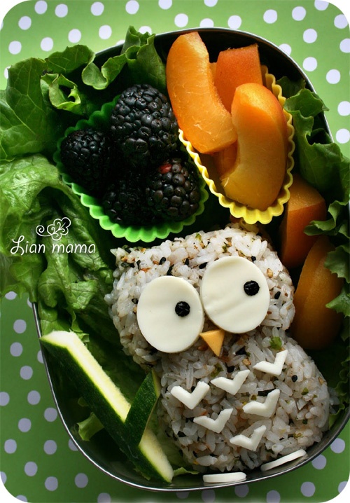 Owl bento box