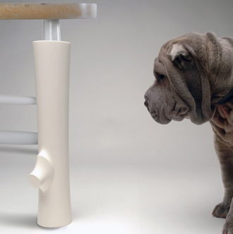 Design voor je hond