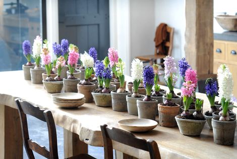 interieurstylist bloemen
