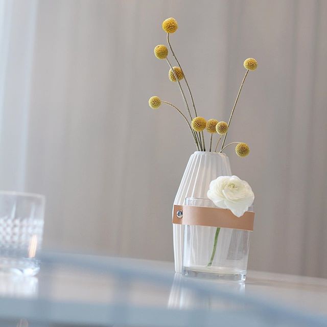 Hipste bloem van dit moment: Craspedia Globosa