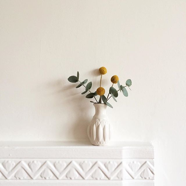 Hipste bloem van dit moment: Craspedia Globosa