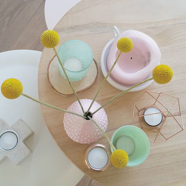 Hipste bloem van dit moment: Craspedia Globosa