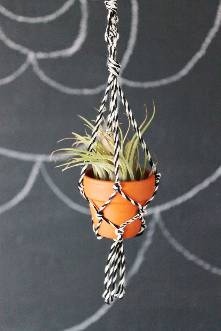 DIY: Planten hanger