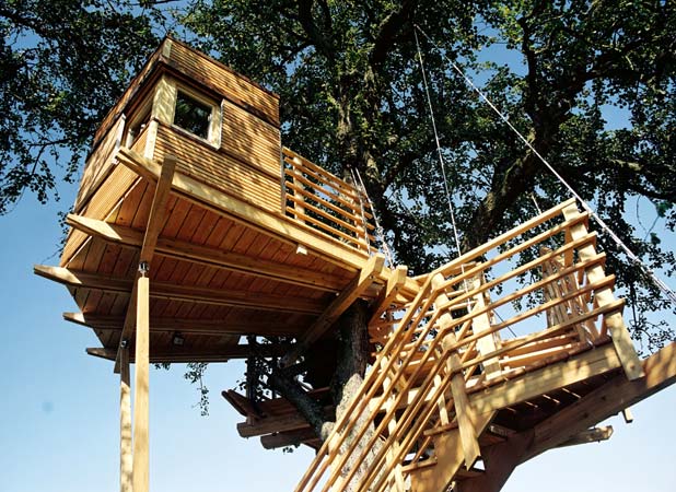 Boomhutten
