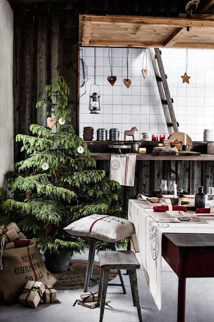 De leukste kerstbomen