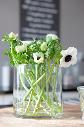Inrichting, kleurenplan en styling Woonhuis