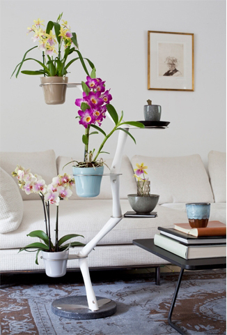 Orchidee in huis