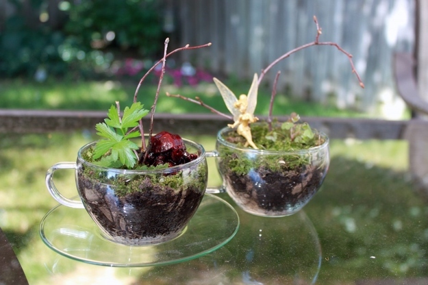 Terrarium met planten