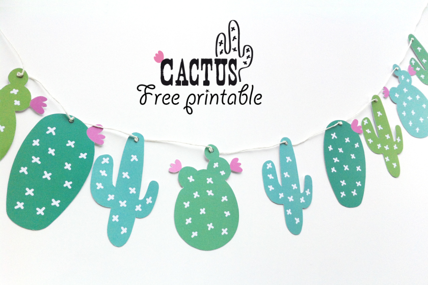 cactus slinger freebie