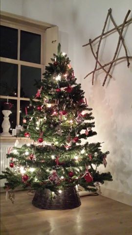 Kerstboom
