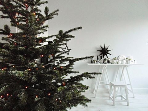 Kerstboom