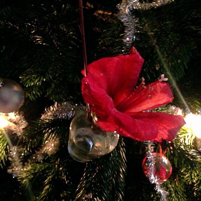 Kerstboom