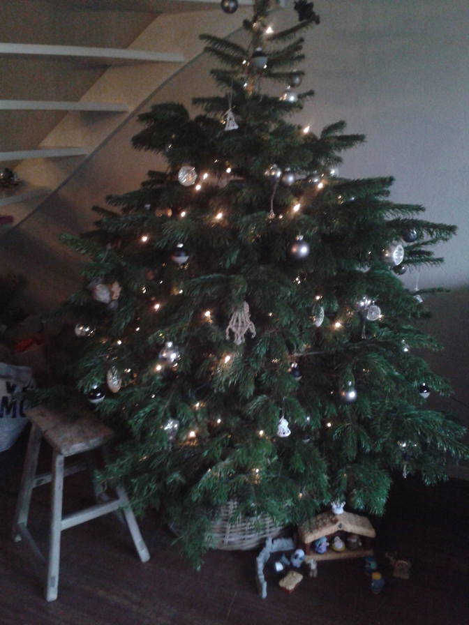 Kerstboom
