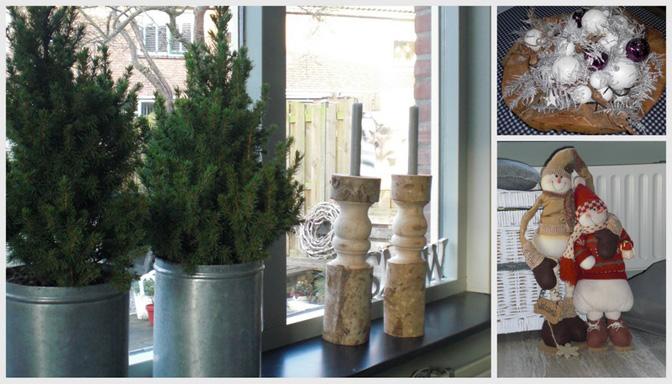 Kerstboom
