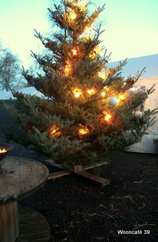 Kerstboom