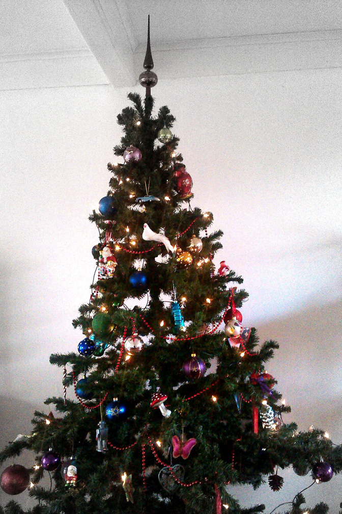 Kerstboom