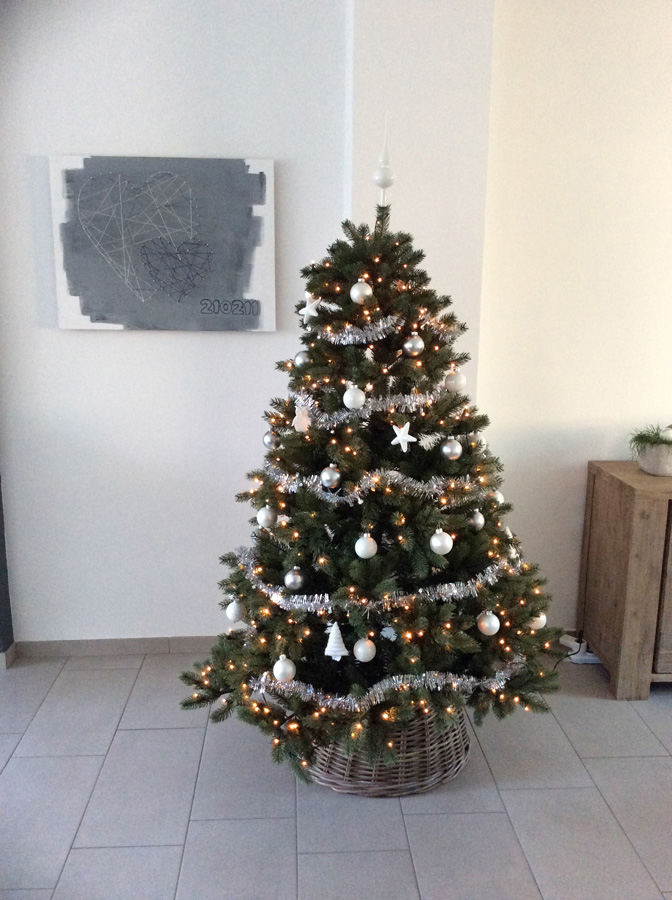 Kerstboom