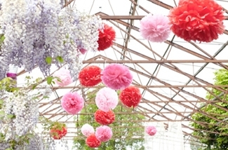 3-een-kleurrijk-feestje-in-de-tuin-kl.jpg