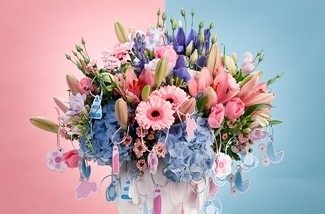 keyvisual-40flowersblue-rgb-kl.jpg