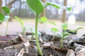 lente1-kl.jpg