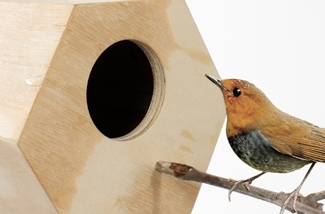 vogelhuisje-tuin-kl.jpg