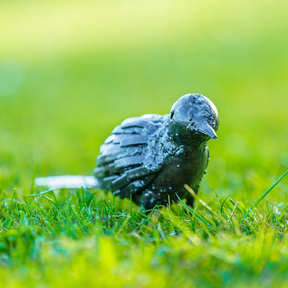 Tuindecoratie, je tuin decoreren in stijl.