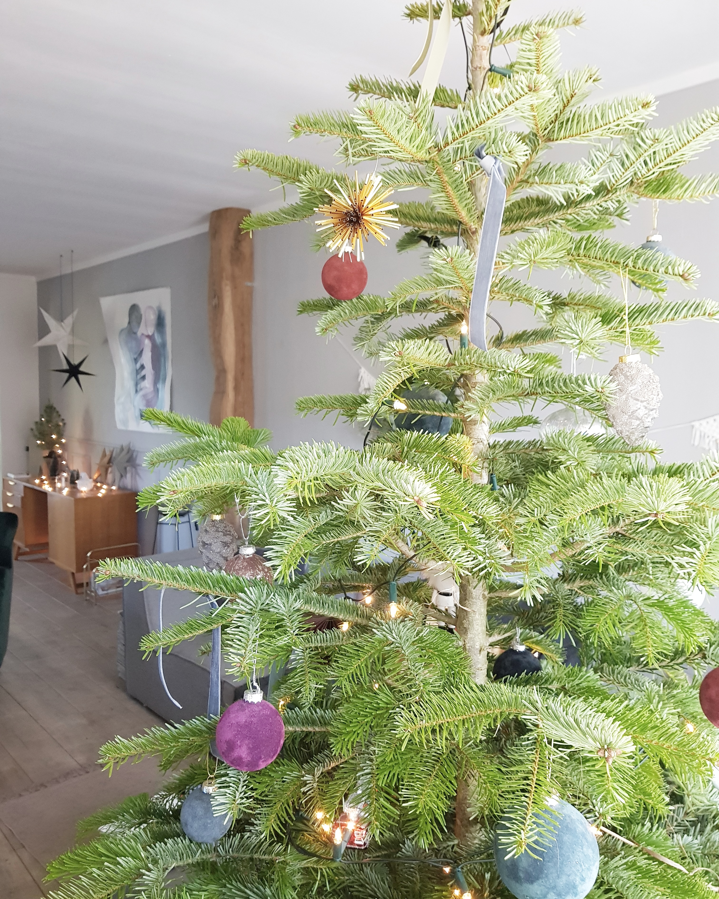 Kijkje in onze kerstboom