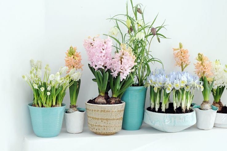 Interieur en bloemen