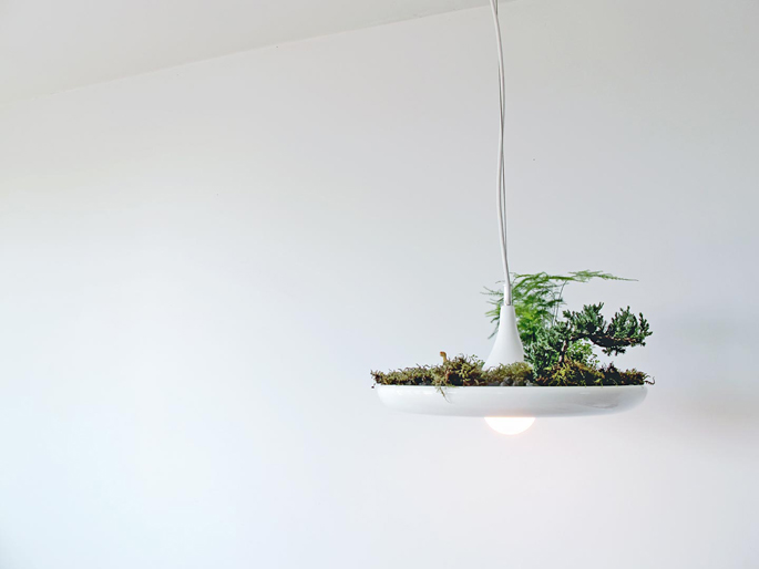 Originele lamp met planten