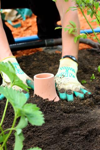Tuinplanten water geven in de zomer