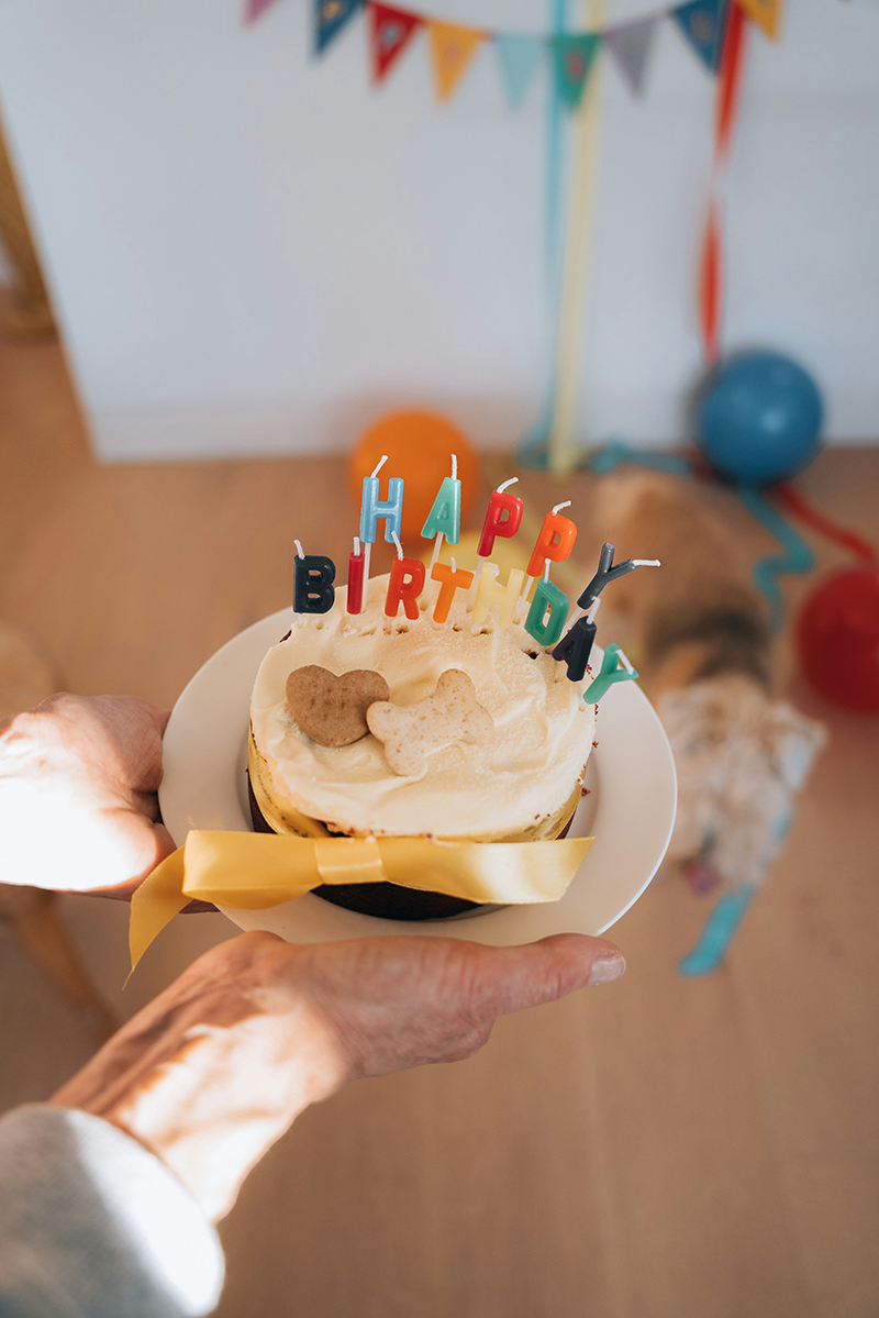 Feest!
