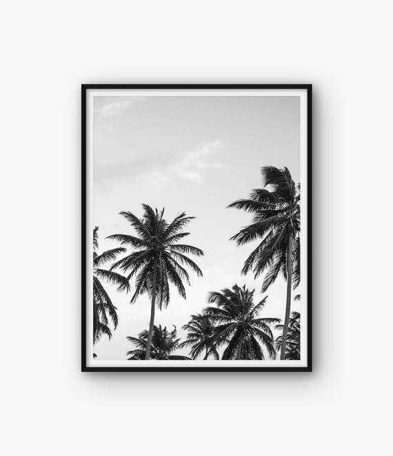 De palmboom trend