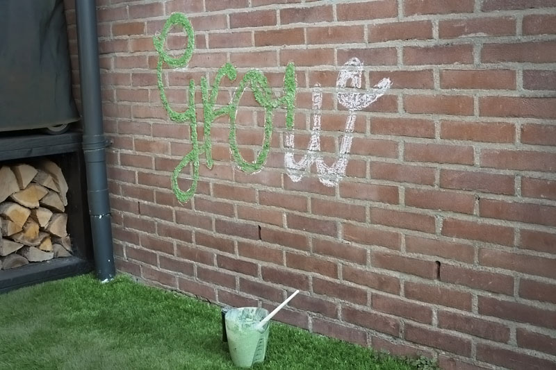 Natuurlijk Stylen 2.0