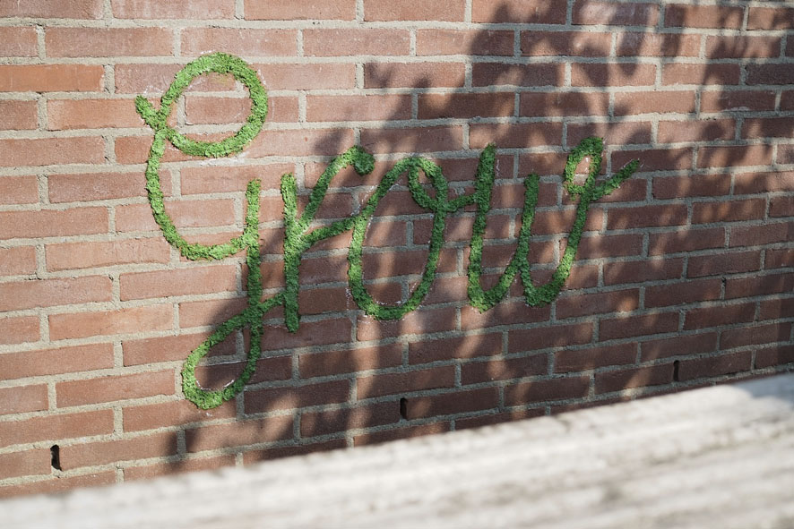 Natuurlijk Stylen 2.0