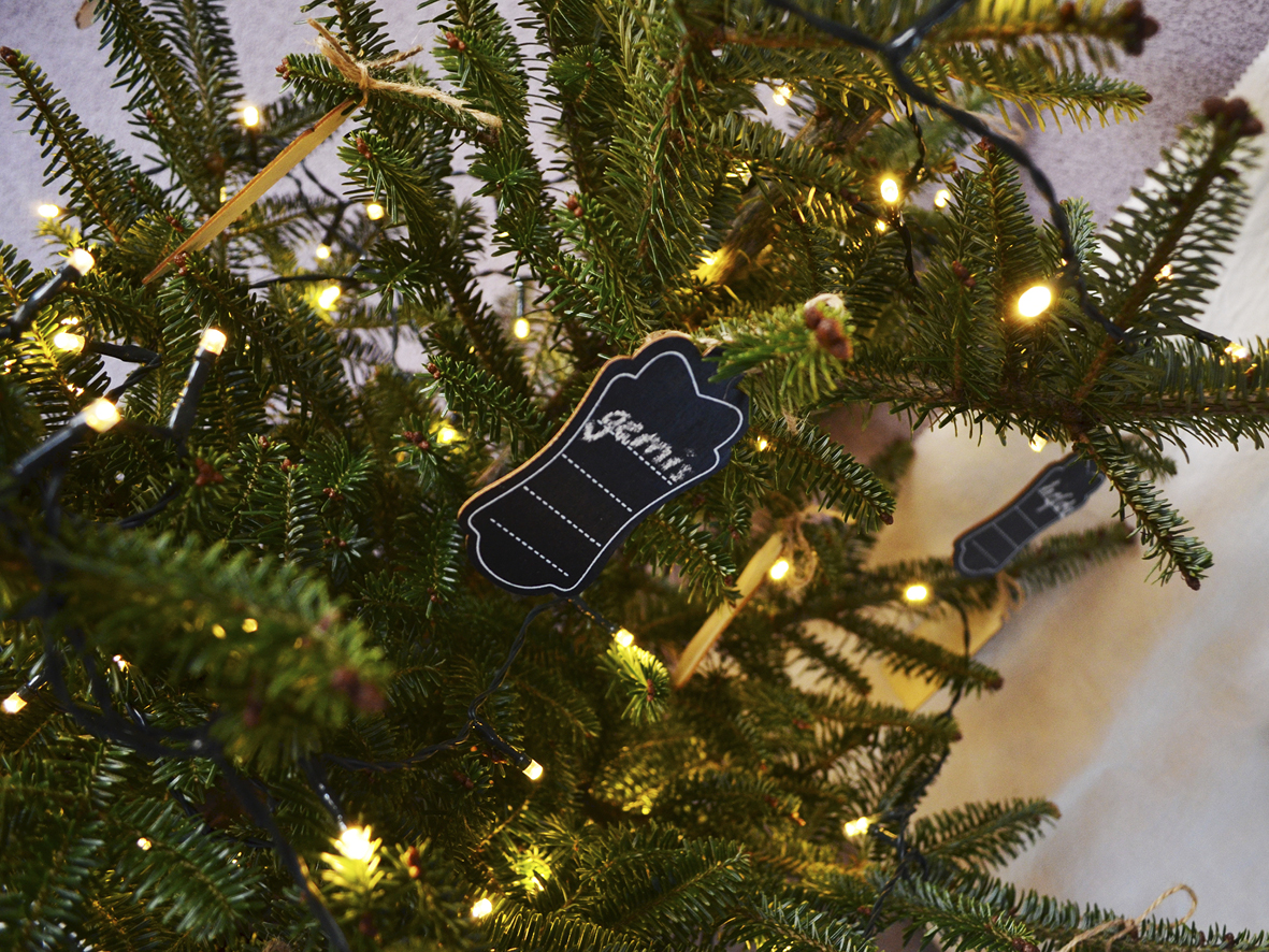 Onze kerst, een kleine boom met een grote boodschap