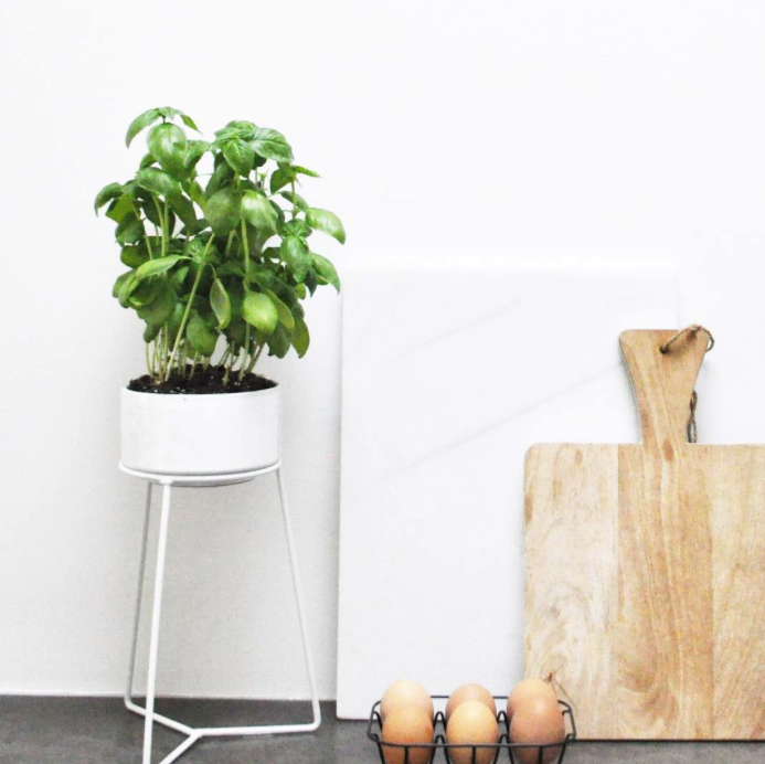 Liefde voor bloempotten - Inspiraties - ShowHome.nl