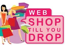 Verslag Webshop till you drop 2013
