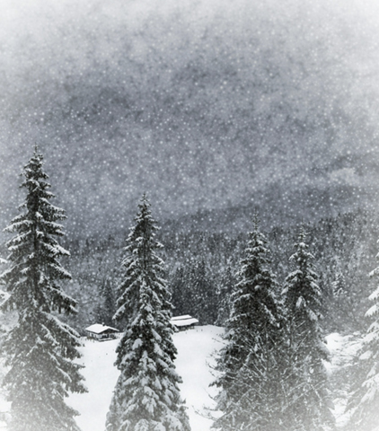 winterse posters